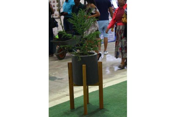 Pot berlin en bois massif
