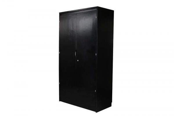 ARMOIRE 2 PORTES Pin HAR423PN